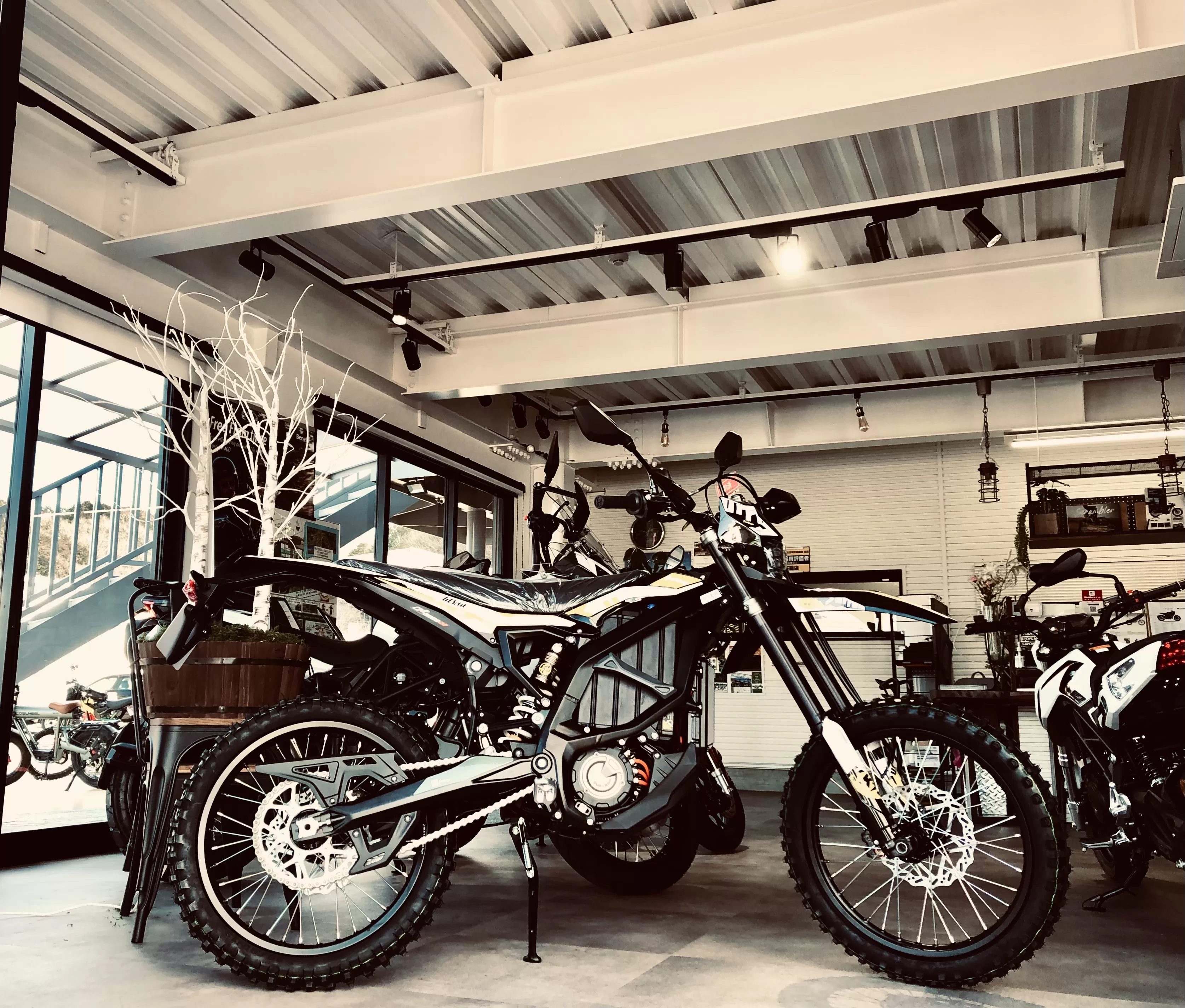 入荷　電動Ultra Bee