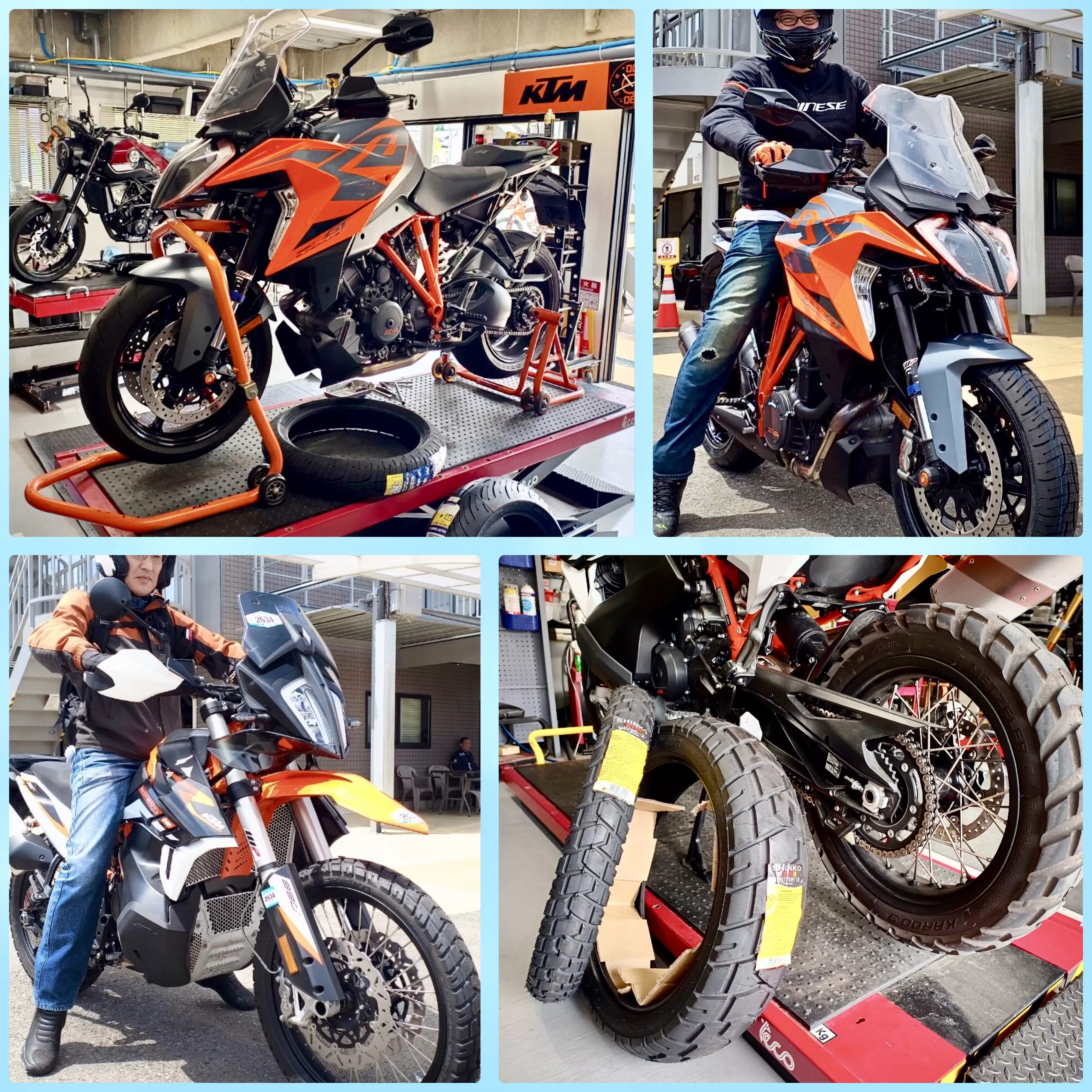 オレンジベストシーズン