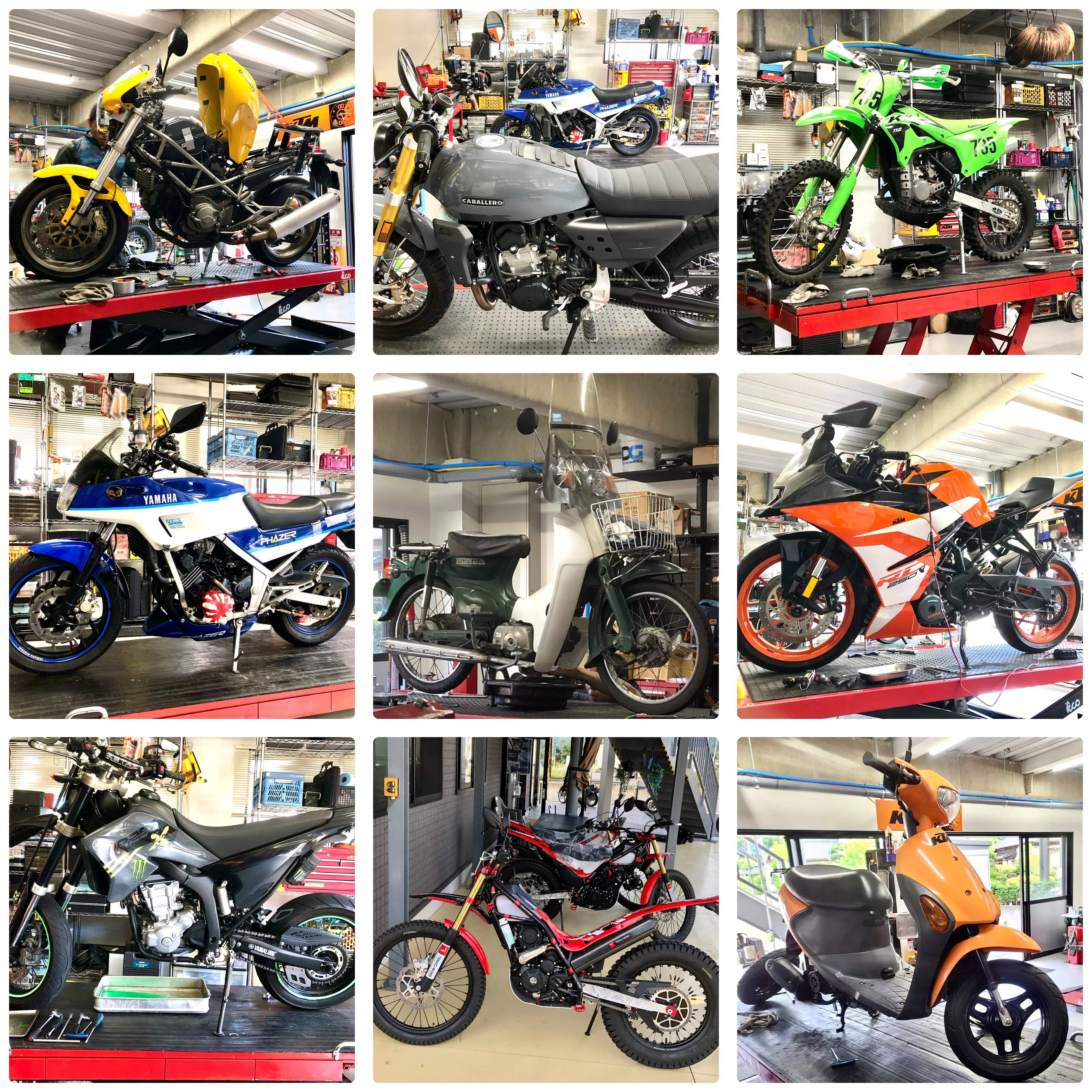 シーズンイン、急ぎ尽力します