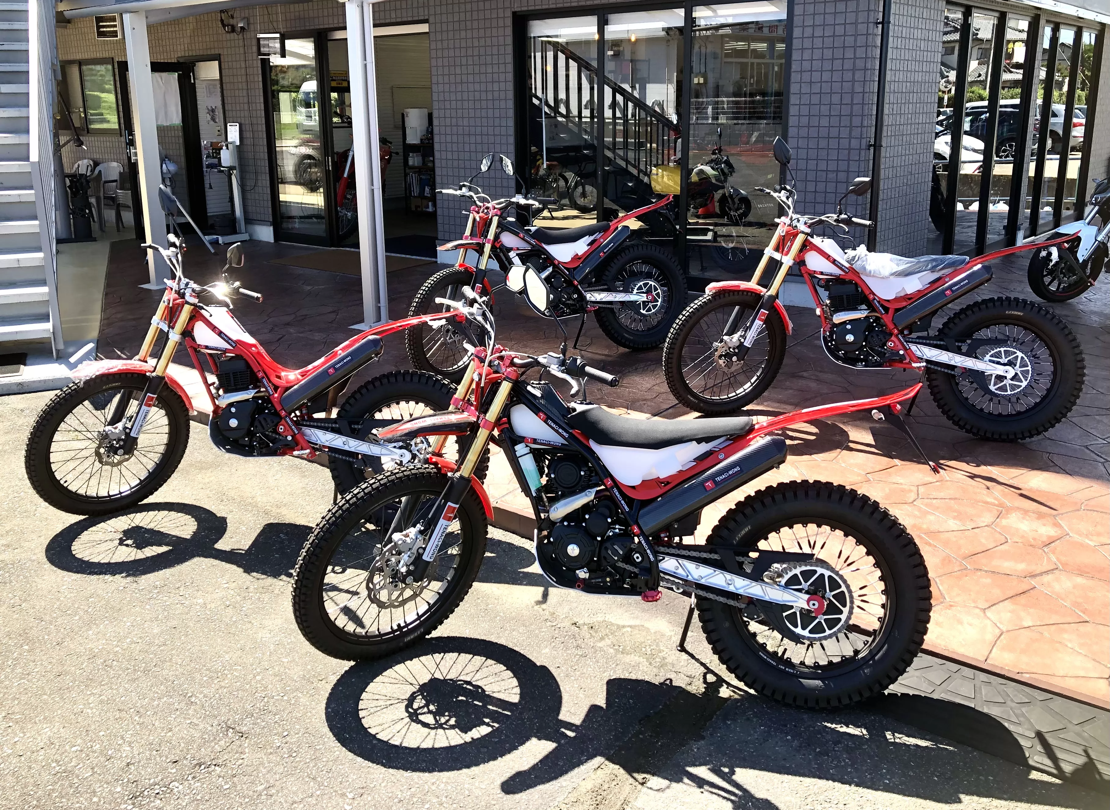 入荷#テナシウォン#TENACI-WONG