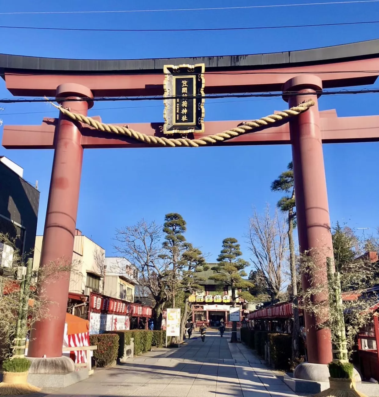 本年も宜しくも宜しくお願いいたします