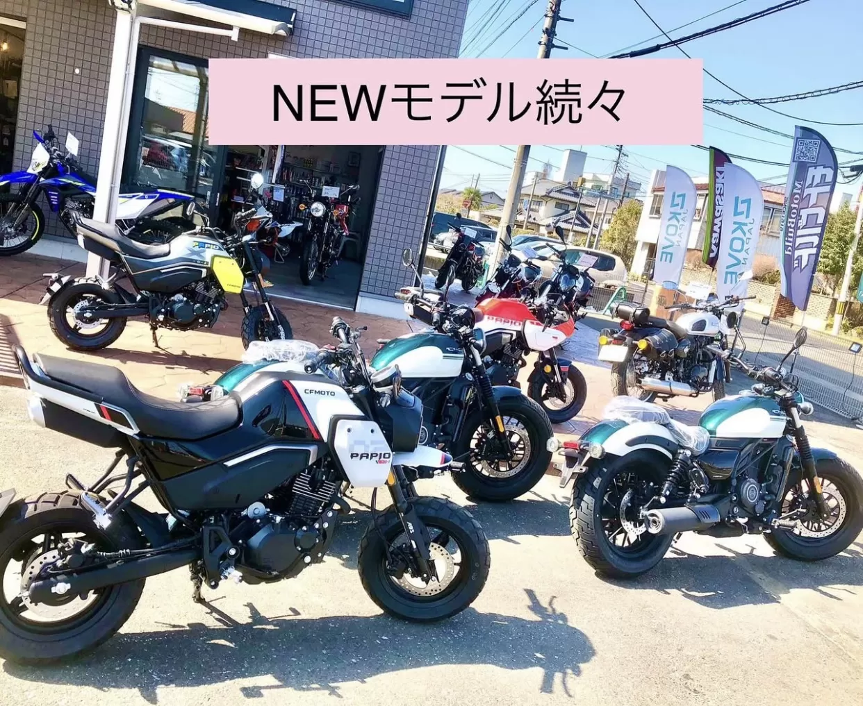 NEWモデル続々