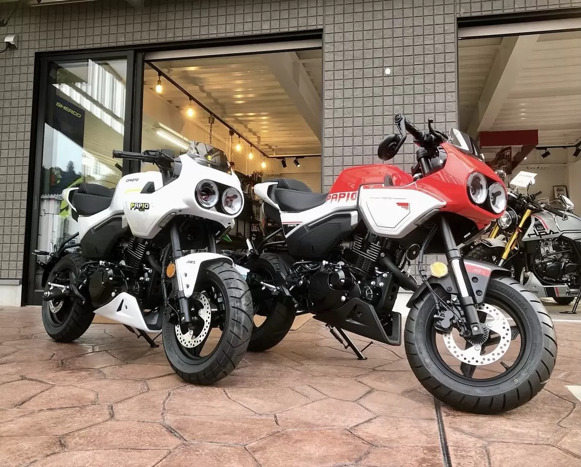 入荷#CFmoto  パピオレーサー　