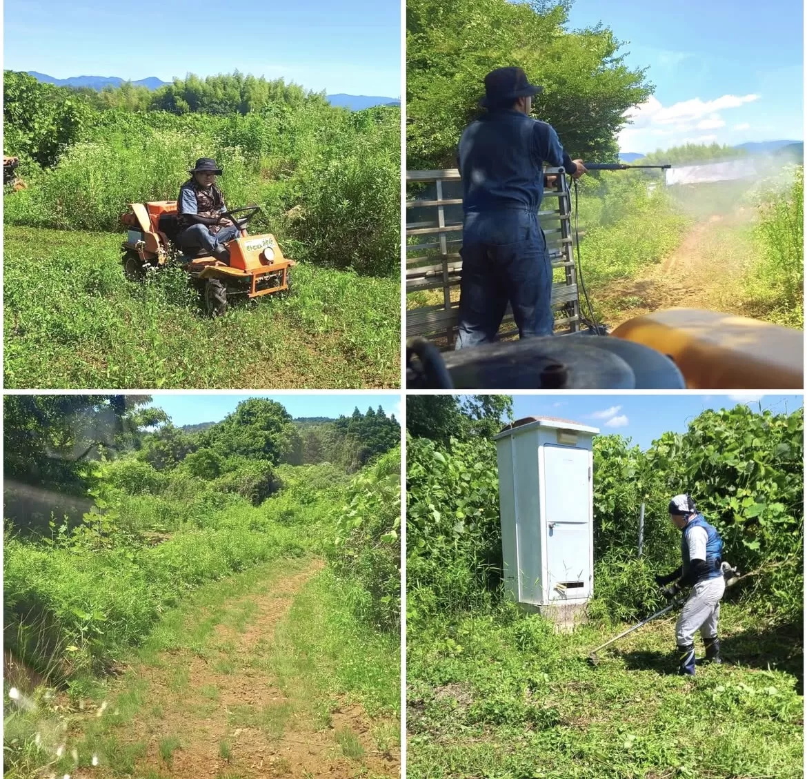 6月モトビルド練習コース整備