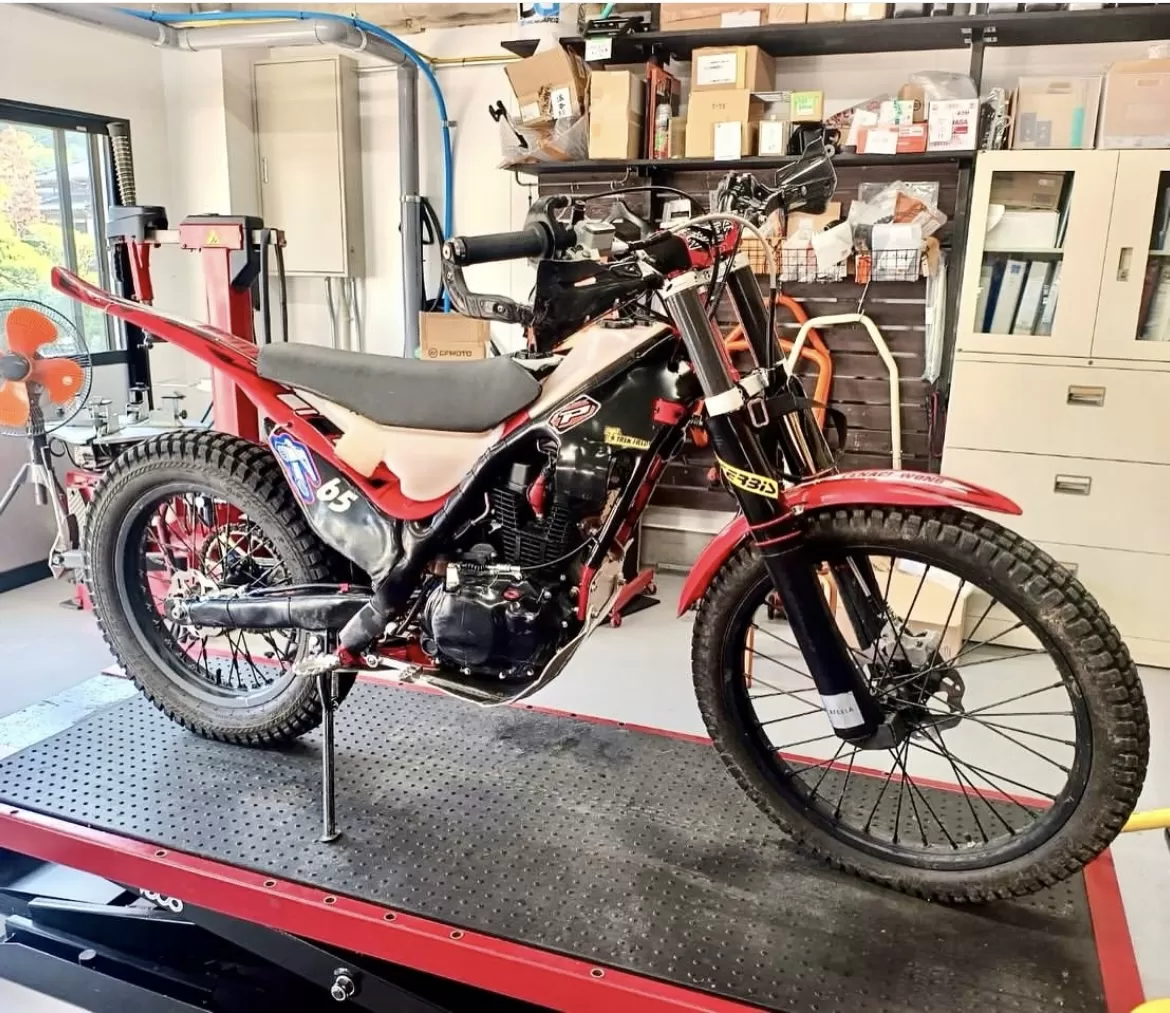 テナシオン　テンデューロ化