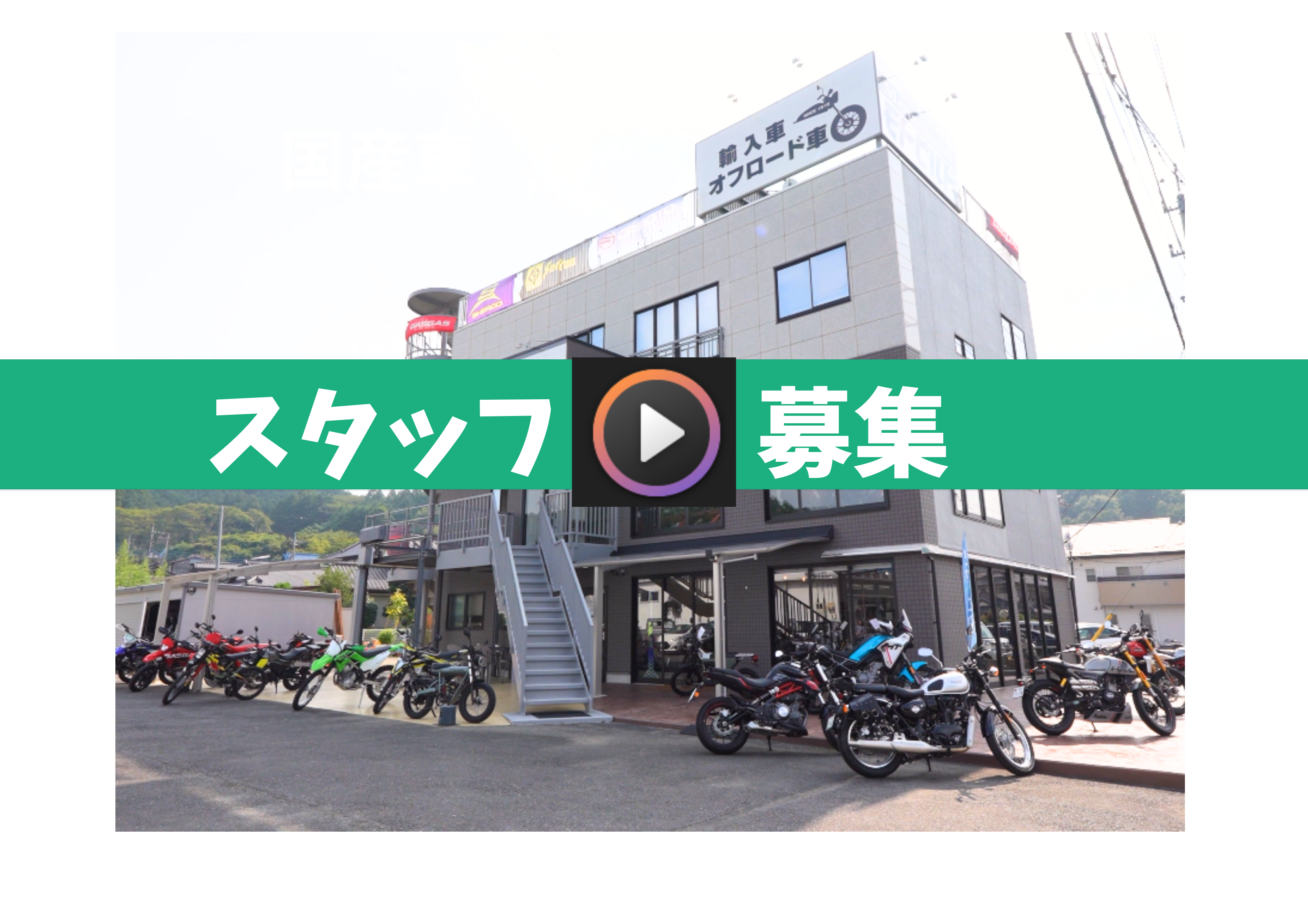 キャンペーン情報